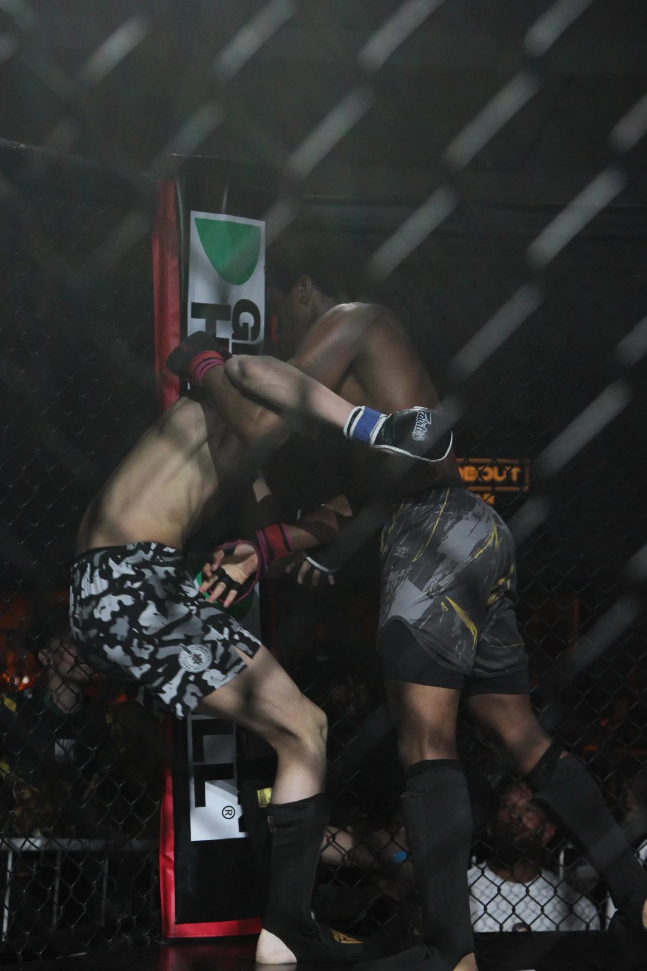 Cage Fight